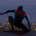 he-is-my-spidey-son avatar