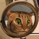 head-empty-river avatar