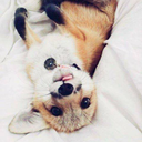 head-full-of-d0ubt avatar