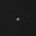 headabovewaters avatar