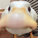 headaches-blog avatar