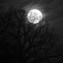 headachesfromthinking avatar