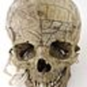 headfullofhannibal avatar