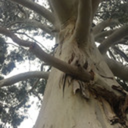 headfulofghost avatar