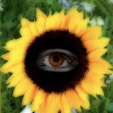 headinthehornyclouds avatar