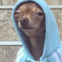 headknight-oh avatar