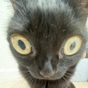 headlessdummie avatar