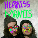 headlessmantis avatar