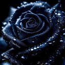 headmate-polls avatar