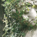 headphones-and-hallways avatar