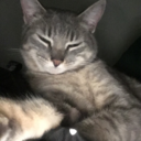 headsinheaven avatar