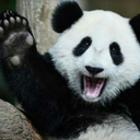 headstowardeternity avatar