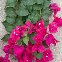 healing-better-faster-stronger avatar