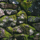 health-chronic-ass-iconic avatar