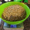 healthy-as-a-horse avatar