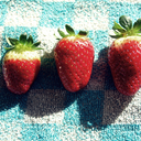 healthy-c0lours avatar