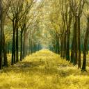 healthy-lifestyle36 avatar