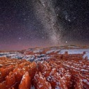 healthy-mind-body-me avatar