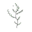 healthy-smoothie-recipes avatar