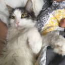 healthyfitspirati0n-blog avatar