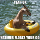 healthygirlsforme avatar