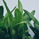 healthylivesgoodvibes avatar