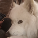 heart-0f-ir0n avatar