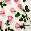 heart-break-00 avatar