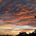 heart-by-heart1 avatar