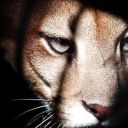 heart-hearth-earth avatar