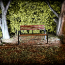 heart-in-pieces-95 avatar