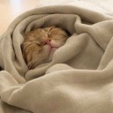 heart-to-hire avatar