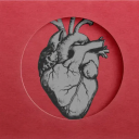 heartbeatonfire081 avatar