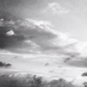 heartbleedsink avatar