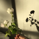 heartbreak-diaries avatar