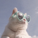 heartbreak-hoe avatar