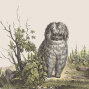 heartbreakboi avatar