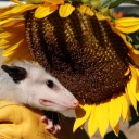 heartbroken-gilr-blog avatar