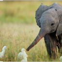 heartdontfailmenow24 avatar