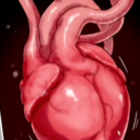 heartfanatics avatar