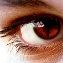 hearthlesshuntress avatar