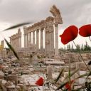 hearthofhearts avatar