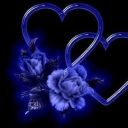 heartless-anomaly avatar