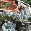 heartmindsoulstuff avatar