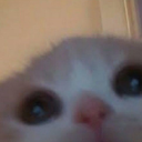 heartofthesword avatar