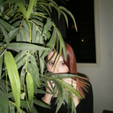 heartpaintedred avatar