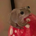 hearts-four-eyes avatar