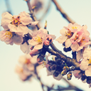 hearts-n-hearts avatar