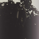 hearts-to-dust avatar