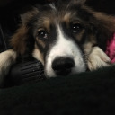 heartsandsnugs avatar